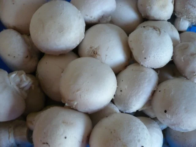 Schweinefilet aus dem Ofen - Rezept - Bild Nr. 4