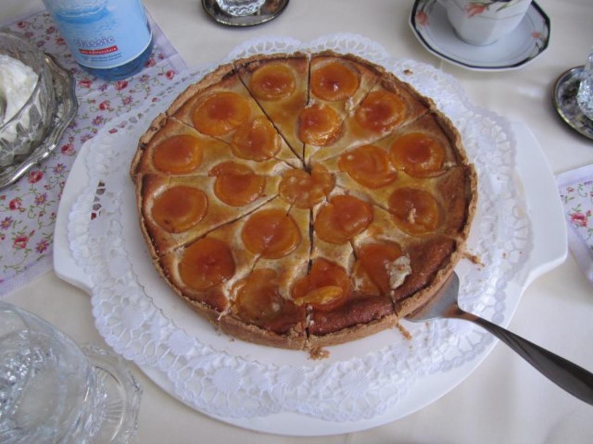 Aprikosen-Quark-Kuchen - Rezept