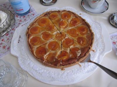 13 Aprikosen Quark Kuchen Rezepte - kochbar.de