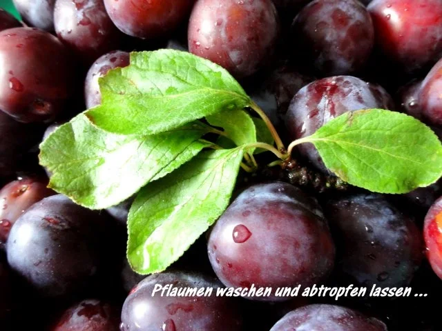 Rezept: M+G: PFLAUMENMUS als Brotaufstrich Bild Nr. 3 M+G: PFLAUMENMUS als Brotaufstrich - Rezept - Bild Nr. 3