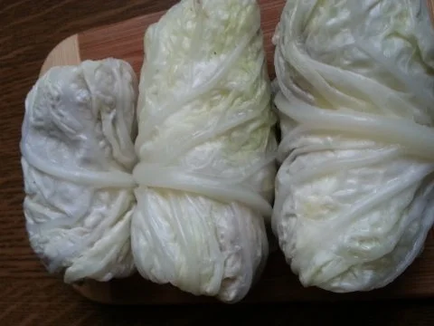 Wirsing Rouladen - Rezept - Bild Nr. 3