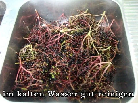 Holunderbeerenlikör - Rezept - Bild Nr. 3