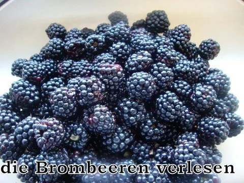 Brombeer - Apfelmarmelade - Rezept - Bild Nr. 2