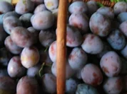 Pflaumenmarmelade - Rezept