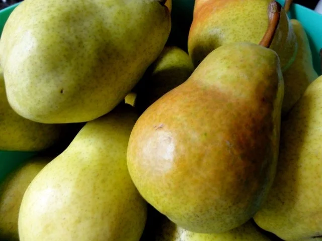 Rezept: Einkochen: WILLIAMS - BIRNEN - WÜRFEL Bild Nr. 2 Einkochen: WILLIAMS - BIRNEN - WÜRFEL - Rezept - Bild Nr. 2