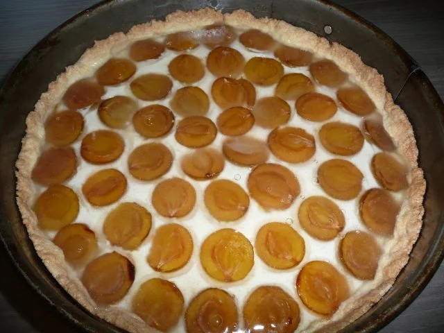 Mirabellen - Quark- Torte - Rezept - Bild Nr. 2