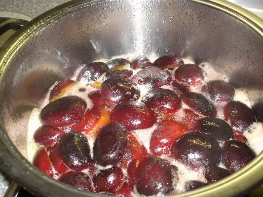 Pflaumenmus- nach dem urprünglichen Rezept von Toskanine - Rezept - Bild Nr. 3
