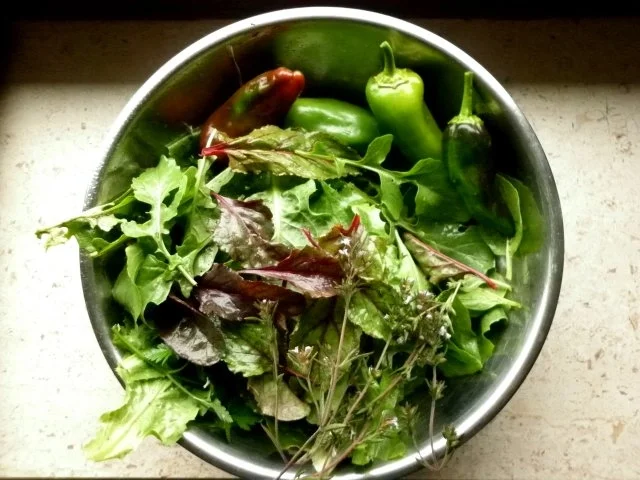 Rezept: Hexen-Reis Bild Nr. 3 Hexen-Reis - Rezept - Bild Nr. 3