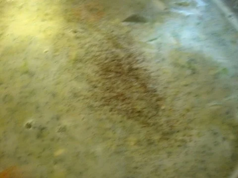 Wurzeleintopf - Rezept - Bild Nr. 7