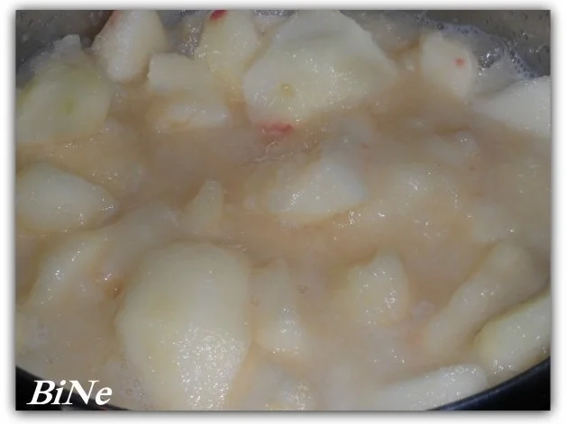 BiNe` S APFELMUS - Rezept - Bild Nr. 3