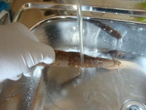 Schwarzwurzelcremesupe mit Zimt - Rezept - Bild Nr. 4