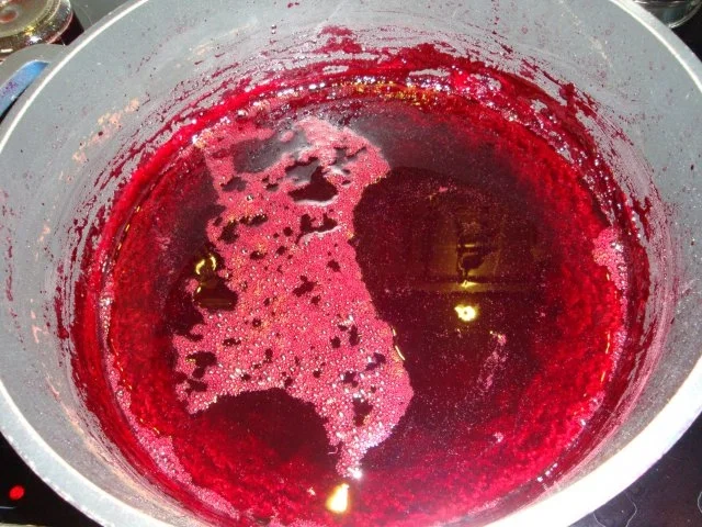 Aronia- Holunderbeersaft - Rezept - Bild Nr. 5