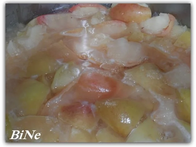 BiNe` S APFELGELEE - Rezept - Bild Nr. 4