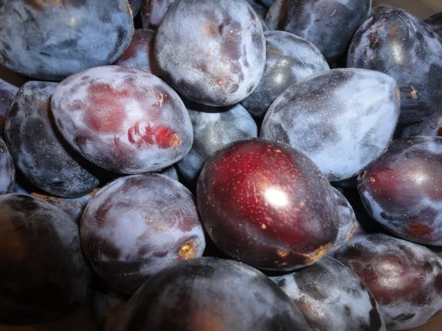 Rezept: Powidl a'la emari Bild Nr. 2 Powidl a'la emari - Rezept - Bild Nr. 2