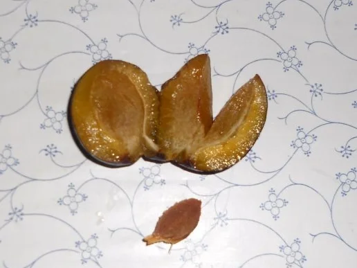 "Oma - Friede`s" - Ostpr. Pflaumenkuchen (Rzpt. um 1939) - Rezept - Bild Nr. 7