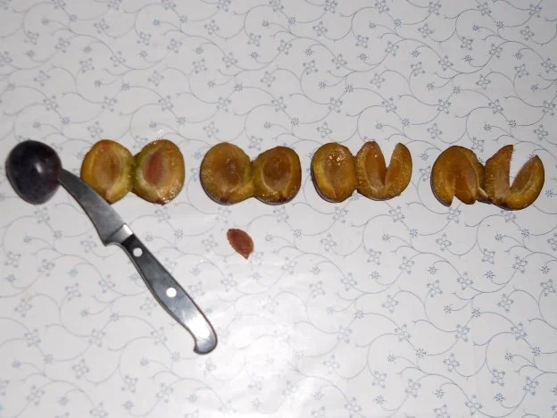 "Oma - Friede`s" - Ostpr. Pflaumenkuchen (Rzpt. um 1939) - Rezept - Bild Nr. 9