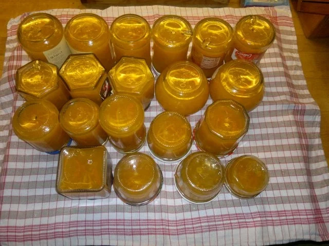 Orangenmarmelade - Rezept - Bild Nr. 5