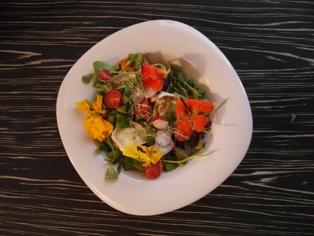 Rezept: Wildkräutersalat mit karamellisierten Ziegenkäse und gerösteten Walnüssen Wildkräutersalat mit karamellisierten Ziegenkäse und gerösteten Walnüssen - Rezept