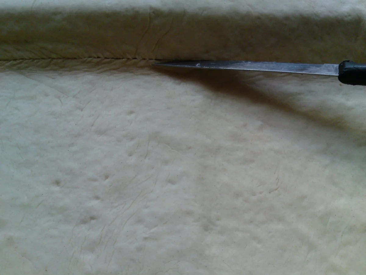 Rezept: Mannis Backblech lockerer Pizzateig (ausführliche Anleitung) Bild Nr. 6135 Mannis Backblech lockerer Pizzateig (ausführliche Anleitung) - Rezept - Bild Nr. 6135