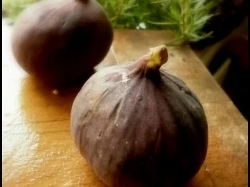 Gebackene Feige - Rezept - Bild Nr. 2