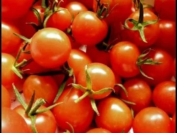 Rezept: Tomatensuppe mit Stockschwämmchen Bild Nr. 3 Tomatensuppe mit Stockschwämmchen - Rezept - Bild Nr. 3