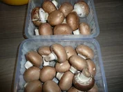 Die nächste Party kommt bestimmt ! - Rezept