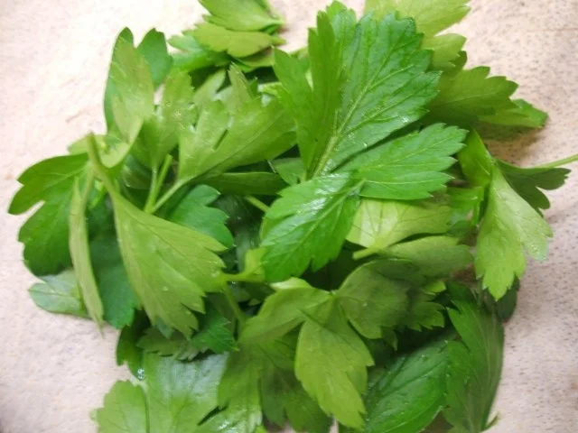 Rezept: Reis: Reisplätzchen auf Blattspinat Bild Nr. 4 Reis: Reisplätzchen auf Blattspinat - Rezept - Bild Nr. 4