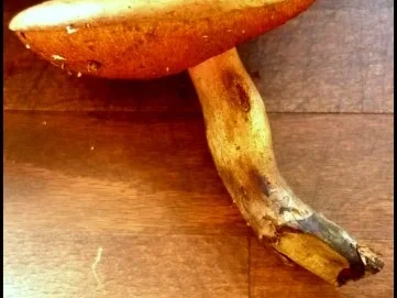 Petersilien-Nocken,  panierte Hexen und Pilz-Rahmsoße mit Kirschtomaten - Rezept - Bild Nr. 7