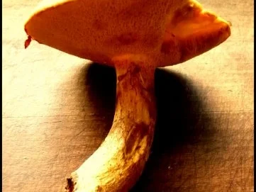 Petersilien-Nocken,  panierte Hexen und Pilz-Rahmsoße mit Kirschtomaten - Rezept - Bild Nr. 8