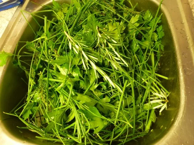 Ein grünes Allround-Gewürz - Rezept - Bild Nr. 2