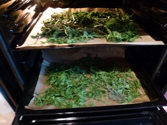 Ein grünes Allround-Gewürz - Rezept - Bild Nr. 6