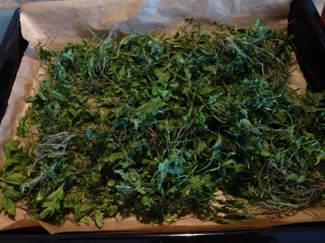 Ein grünes Allround-Gewürz - Rezept - Bild Nr. 7