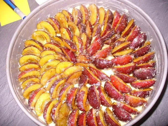 Rezept: Pflaumenkuchen/Zwetschgenkuchen Bild Nr. 5 Pflaumenkuchen/Zwetschgenkuchen - Rezept - Bild Nr. 5