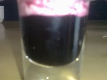 Rezept: Holderschnaps-Sirup ratz-fatz schmackofatz Bild Nr. 3 Holderschnaps-Sirup ratz-fatz schmackofatz - Rezept - Bild Nr. 3