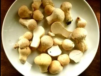 Rezept: Scharfes Kartoffel-Kürbis-Ragout Bild Nr. 5 Scharfes Kartoffel-Kürbis-Ragout - Rezept - Bild Nr. 5