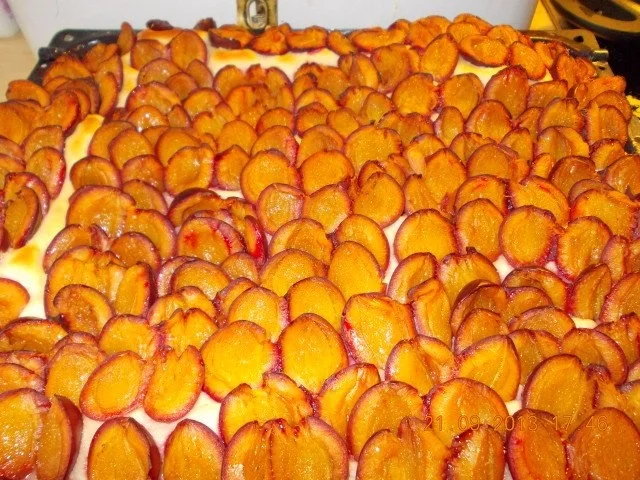 Pflaumenkuchen auf dem Blech mit Hefe - Rezept - Bild Nr. 2