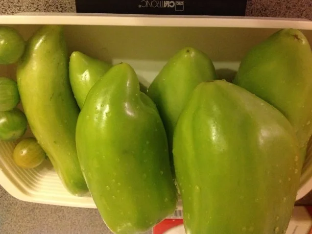 Grüne Tomaten Chutney - Rezept