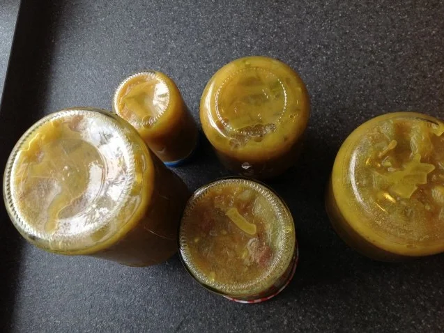 Grüne Tomaten Chutney - Rezept - Bild Nr. 6