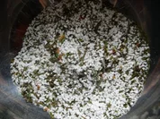 Rezept: Scharfes Kräutersalz Scharfes Kräutersalz - Rezept