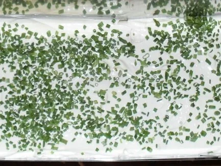 Kürbispizza - Rezept - Bild Nr. 4