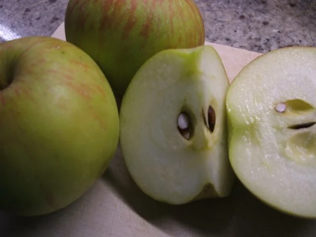 Rezept: Backen: Apfelkuchen "Canadian Style" Bild Nr. 7 Backen: Apfelkuchen "Canadian Style" - Rezept - Bild Nr. 7