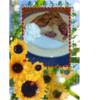 Kuchen : Zwetschgen mit Haselnusszudecke - Rezept