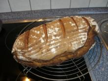 Sabine´s Lieblingsbrot - Rezept