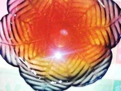 Halal Wackelpudding mit Apfelefekt - Rezept