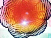 Halal Wackelpudding mit Apfelefekt - Rezept