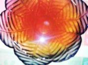 Halal Wackelpudding mit Apfelefekt - Rezept