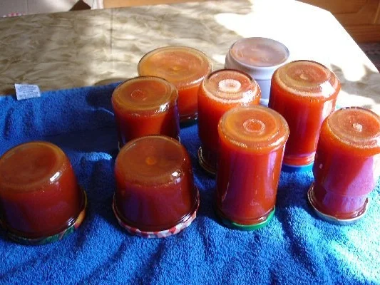 Hagebuttenmarmelade - Rezept - Bild Nr. 6