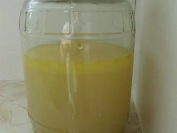 Basic: Fischfond "Asia Style" - Rezept