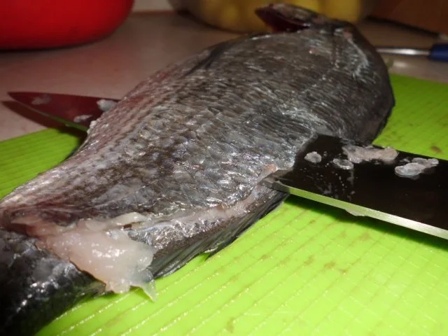 Basic: Fischfond "Asia Style" - Rezept - Bild Nr. 4