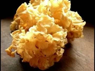 Krause Glucke mit Kartoffelrösti - Rezept - Bild Nr. 2